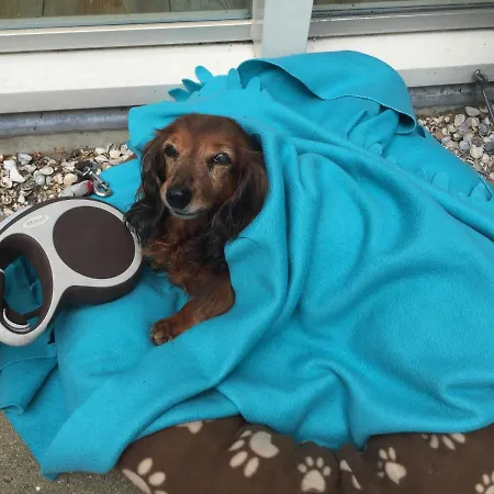 Casa vacanze Sunset House