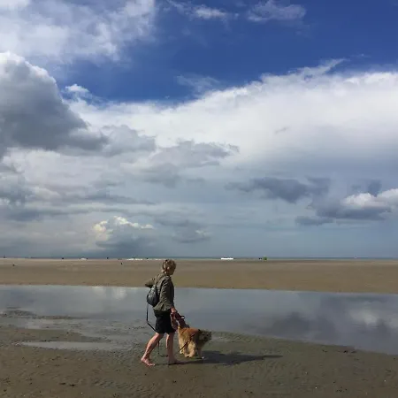 Sunset House Holiday home *