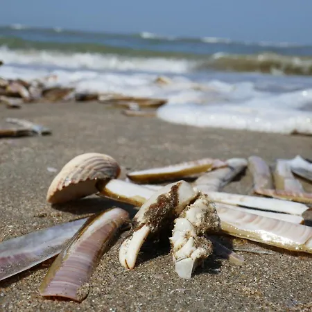 Sunset House بيت للعطل لاهاي