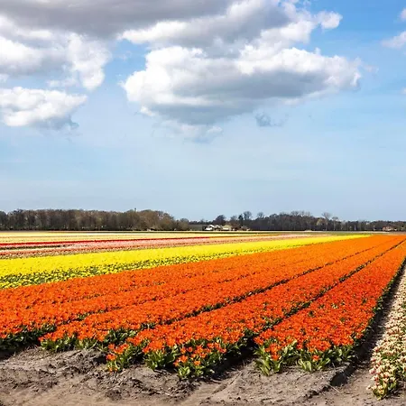 Semesterbostad Sunset House