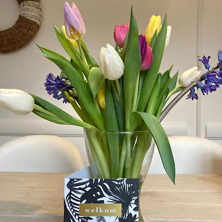 Holiday home Sunset House The Hague