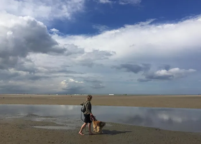 Sunset House 펜션 *