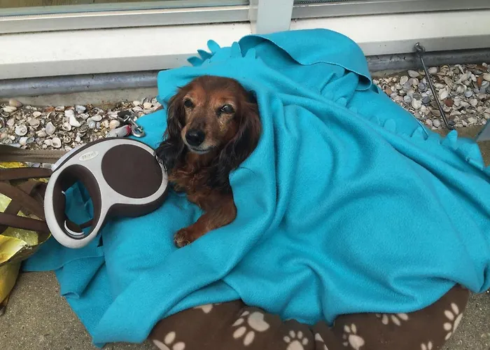 Dom wakacyjny Sunset House