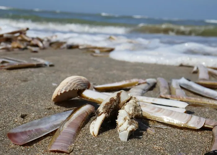 Sunset House Prázdninový dům Haag