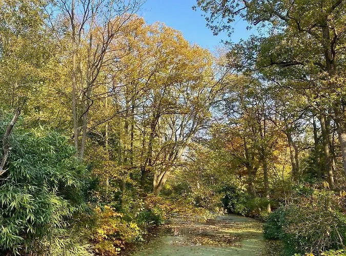Nyaraló Sunset House