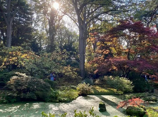 Dom wakacyjny Sunset House Haga