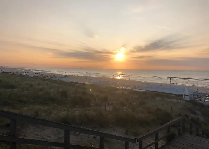 펜션 Sunset House 헤이그