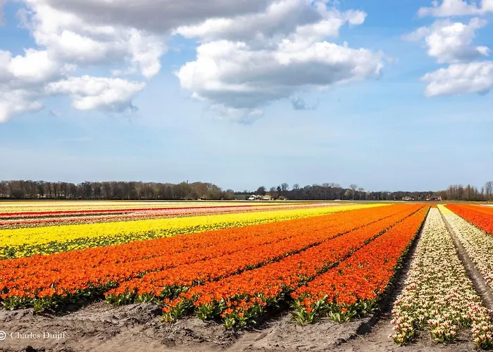 Dom wakacyjny Sunset House