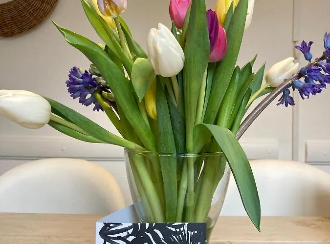 Dom wakacyjny Sunset House Haga