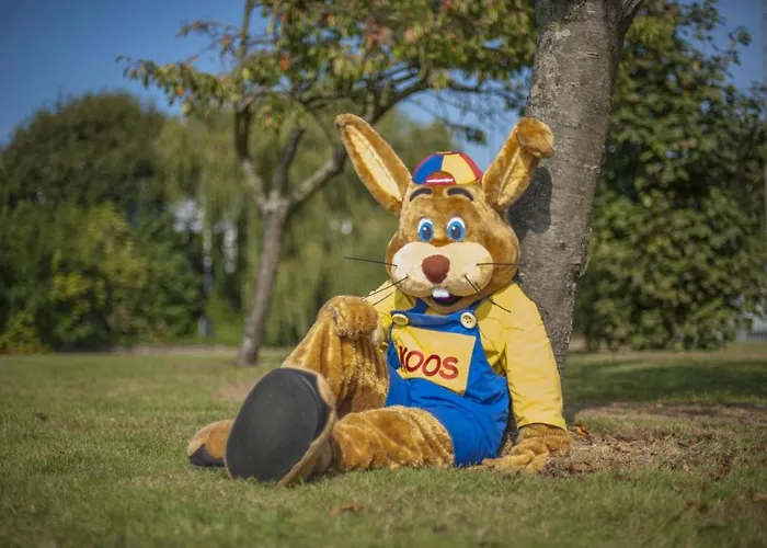 Sunset House בית נופש