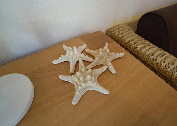 בית נופש Sunset House האג